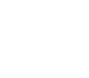 icon1-w