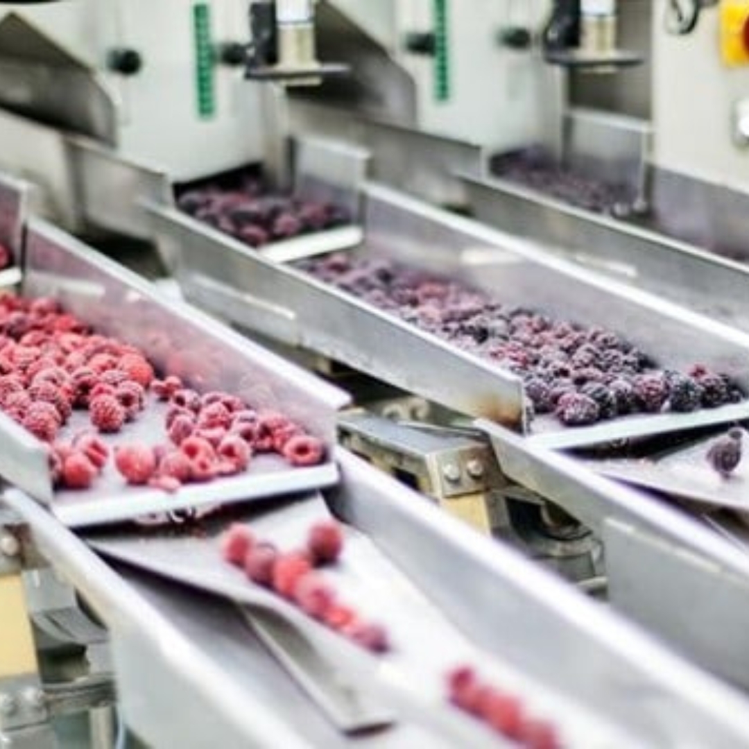 06 _ Food Production